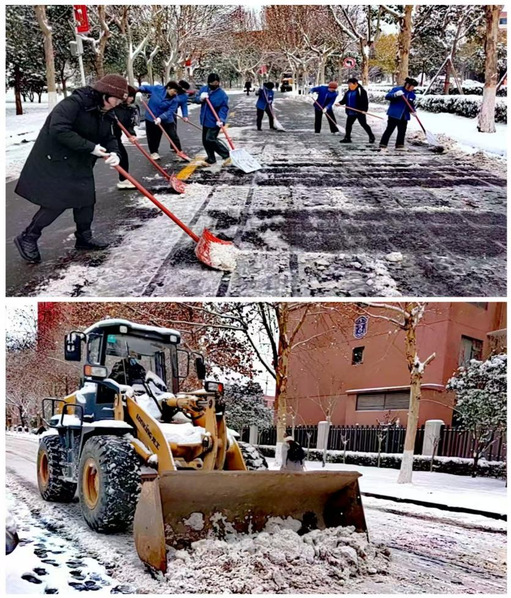 后勤保障服务中心“除雪行动”全力保障校园安全出行